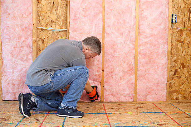 Best Insulation Maintenance and Repair in Glen Allen, VA